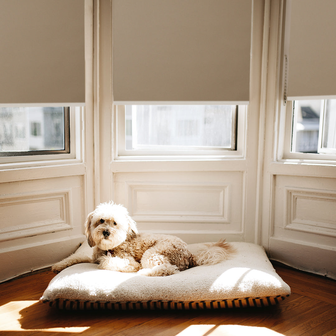 Pet Proof Blinds Spring Loaded Window Shades