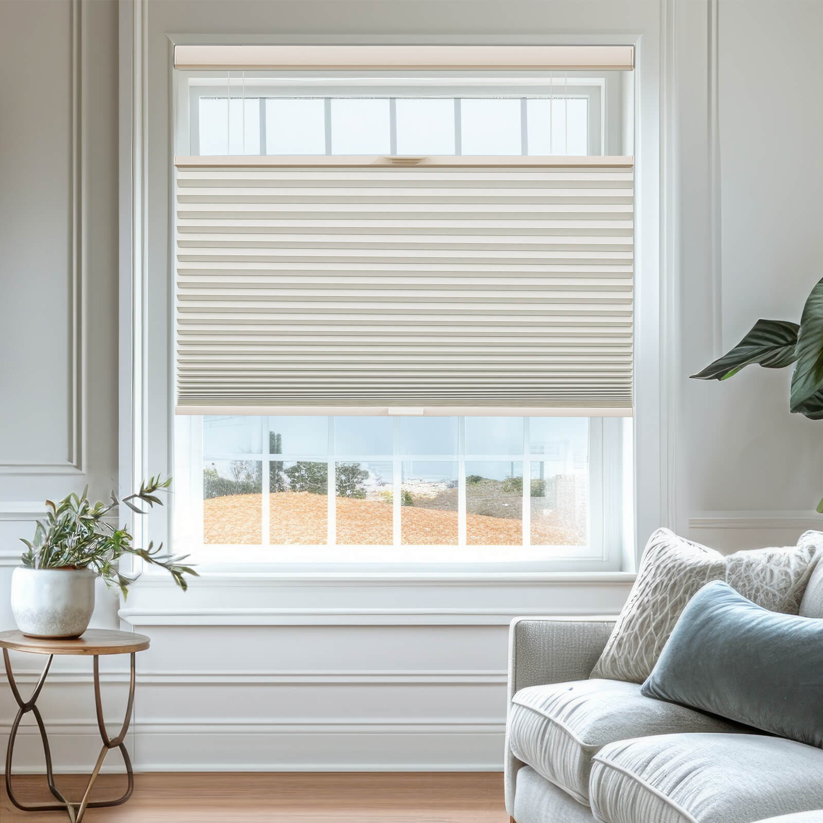 Cellular Shades Top Down Bottom Up