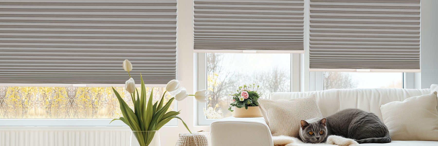 Motorized Cellular Shades