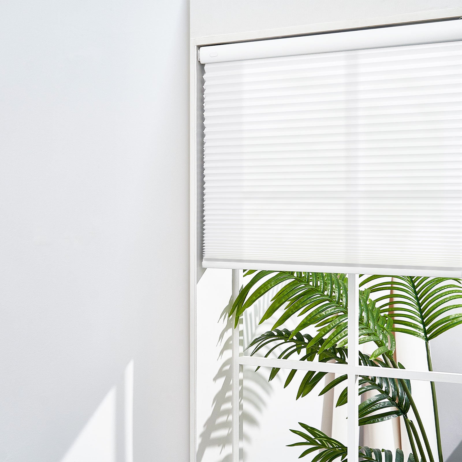 White-0101-3613