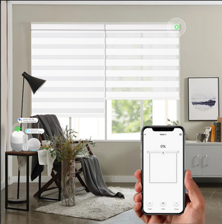 smart motorized blinds