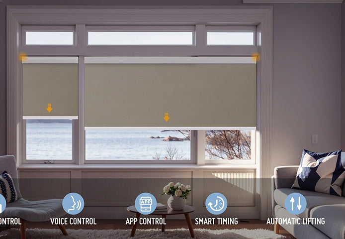 Motorized Blinds