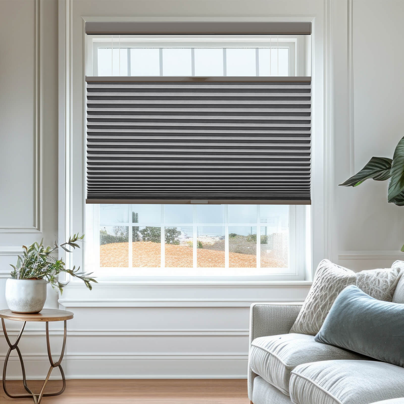Keego Express Top Down Bottom Up Honeycomb Cellular Shades Cordless