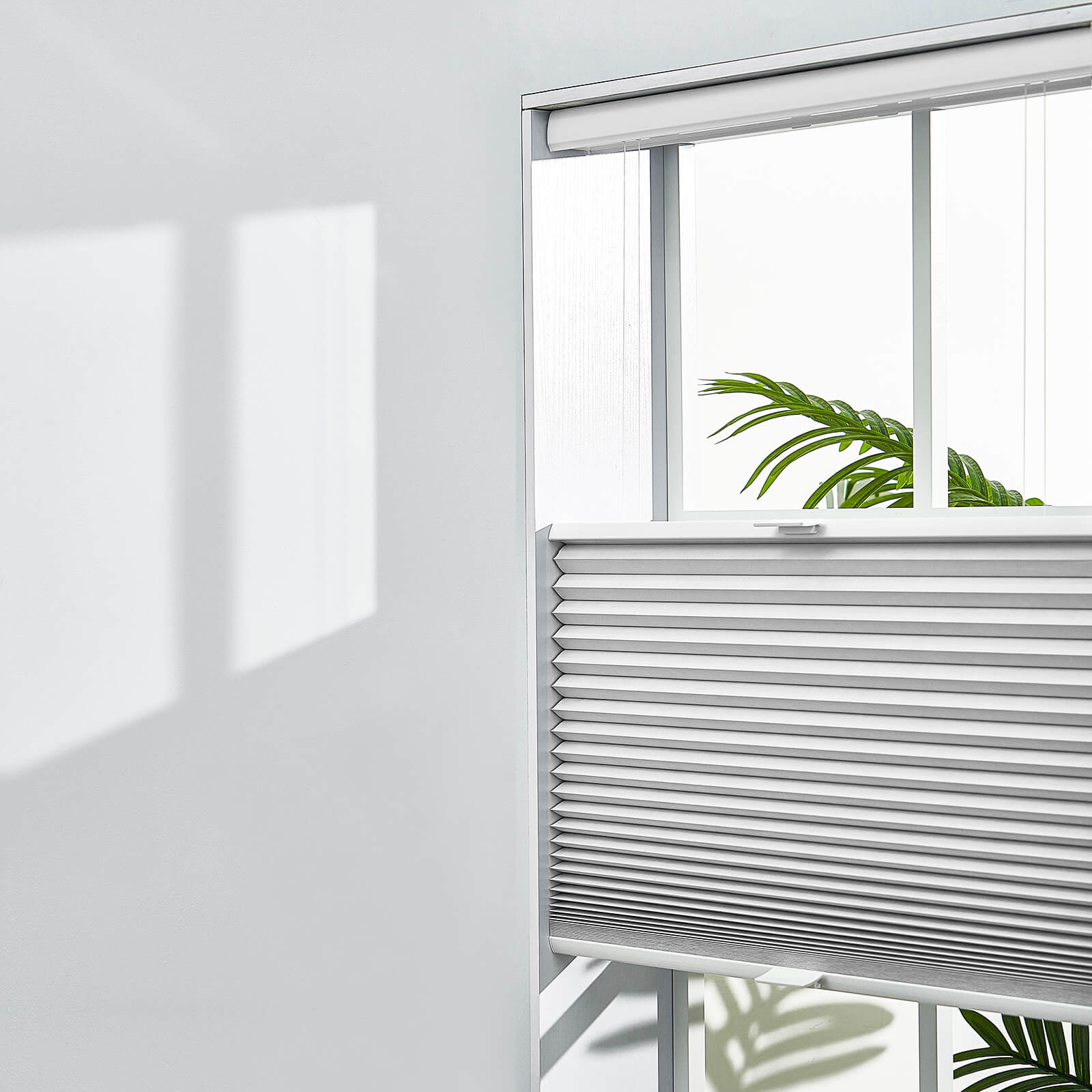 Keego Express Top Down Bottom Up Honeycomb Cellular Shades Cordless