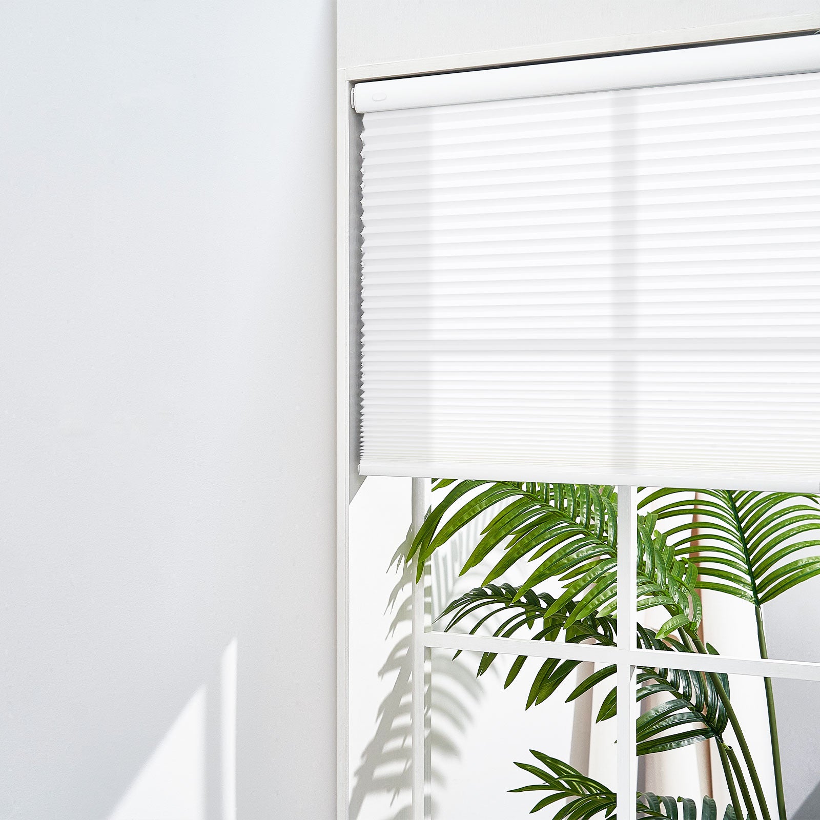 White-01-3568