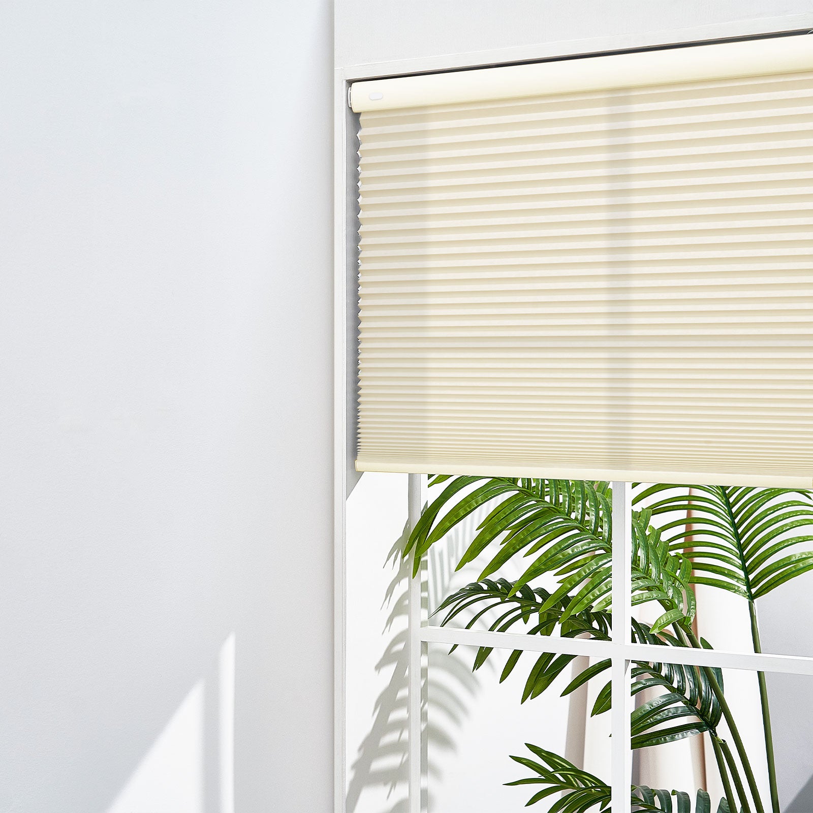 Beige-03-3568