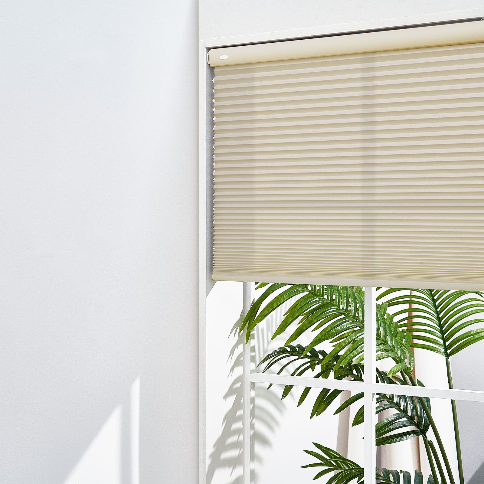 LightBrown-05-3568