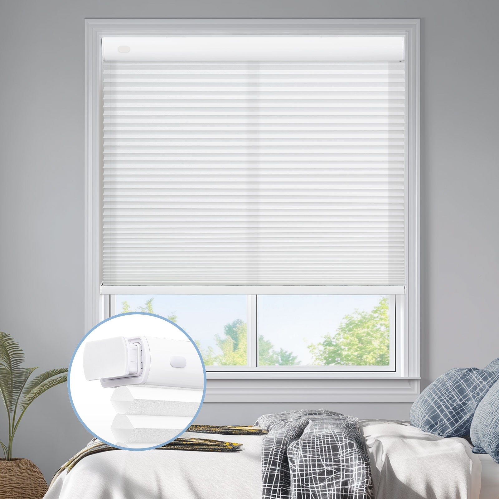 White-01-3568
