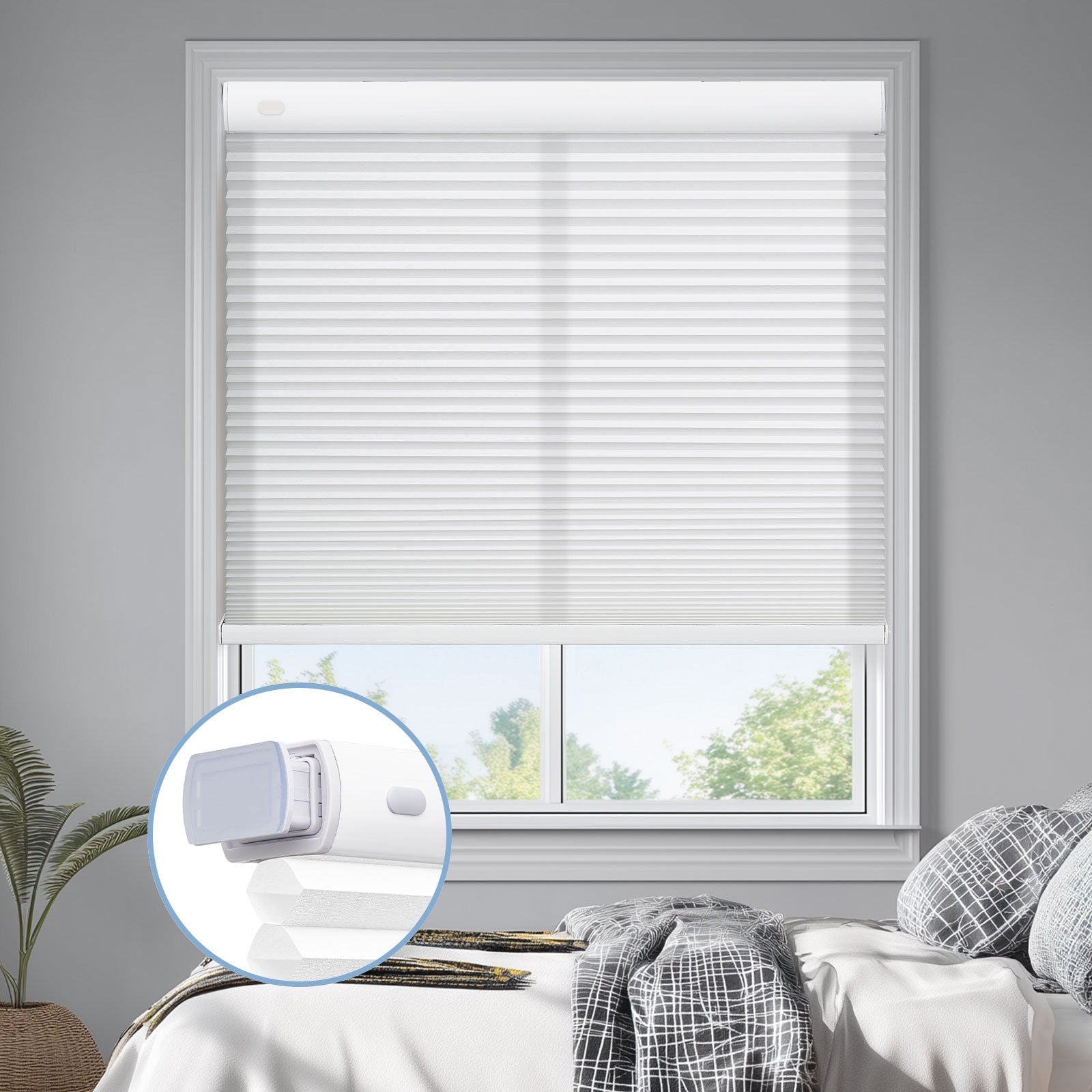 White-01-3568