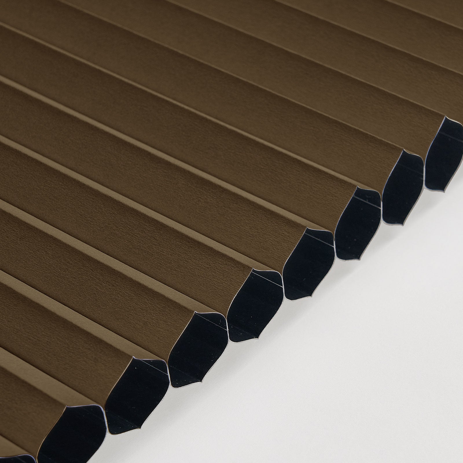 Brown-b1802-3613