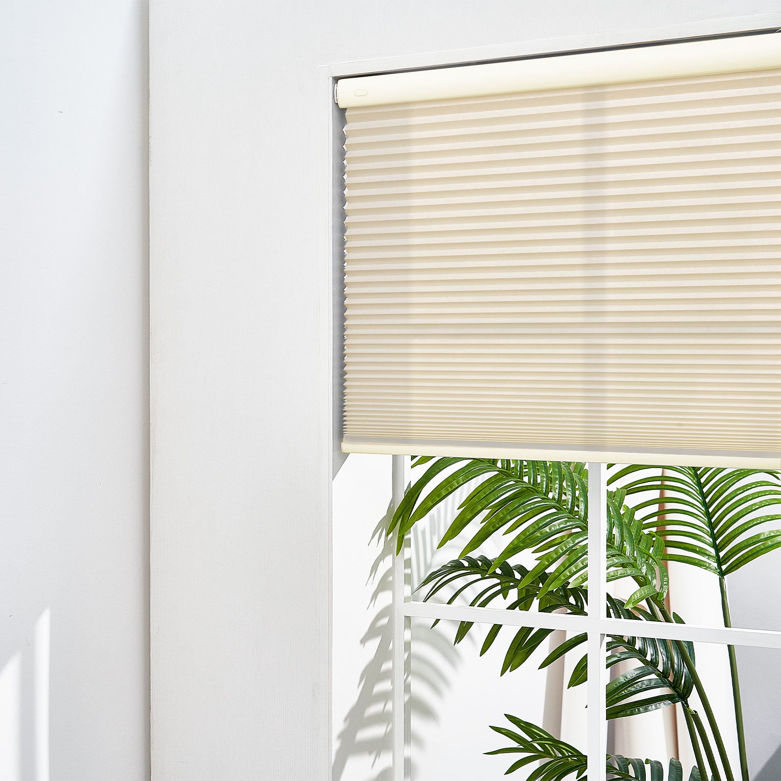 Beige-0501-3613