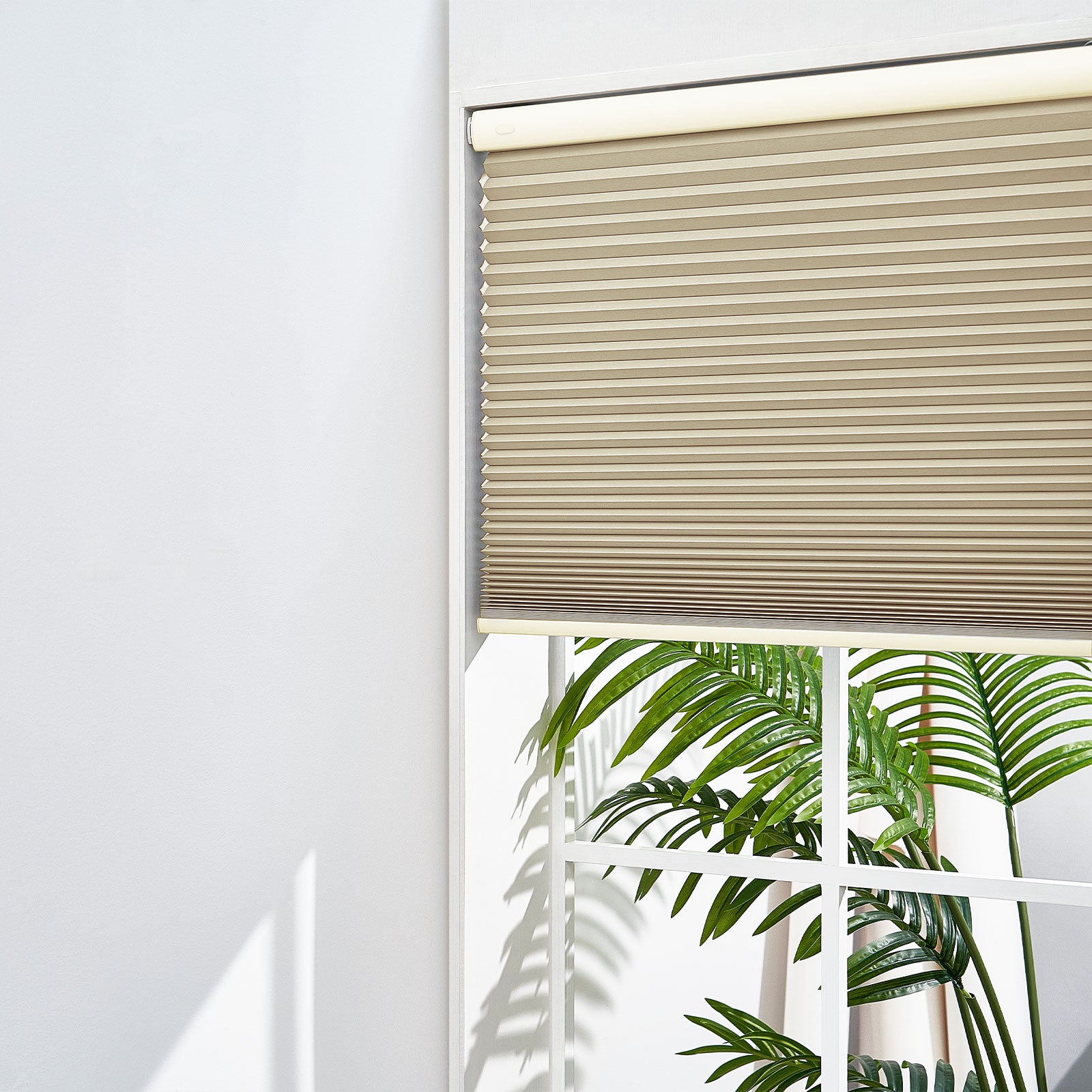 Beige-b0501-3613