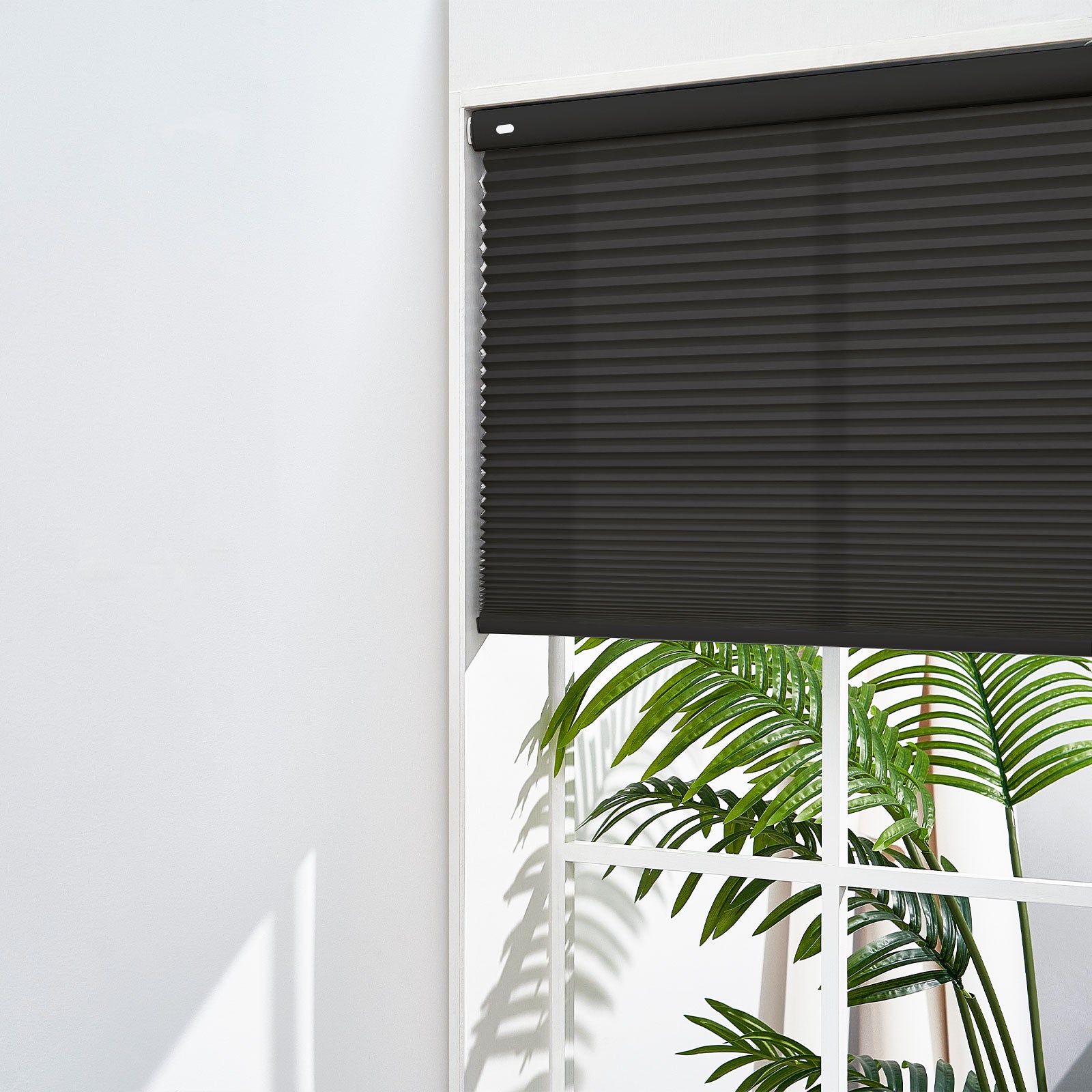 Black-10-3375