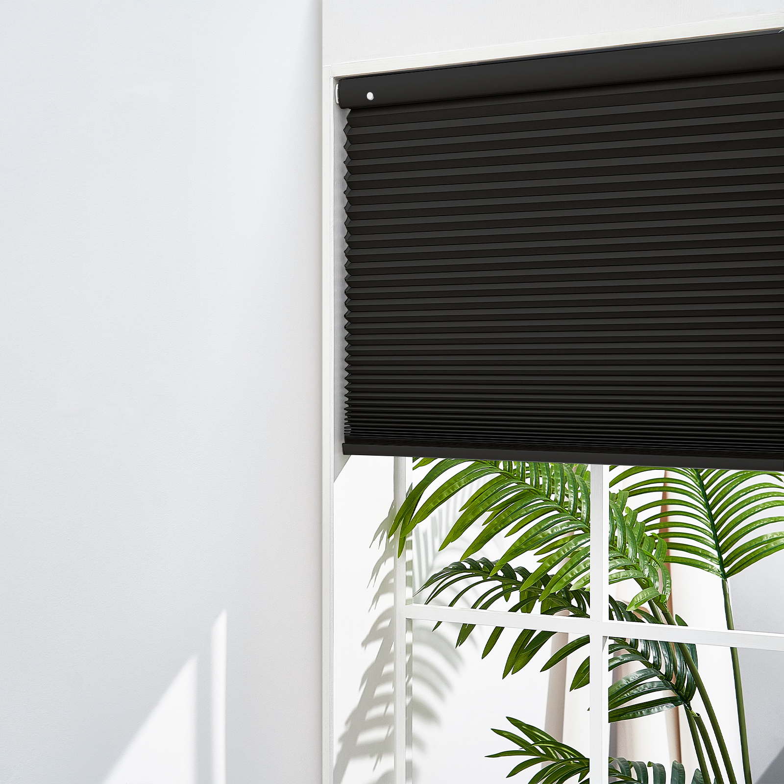 Black-B10-3375