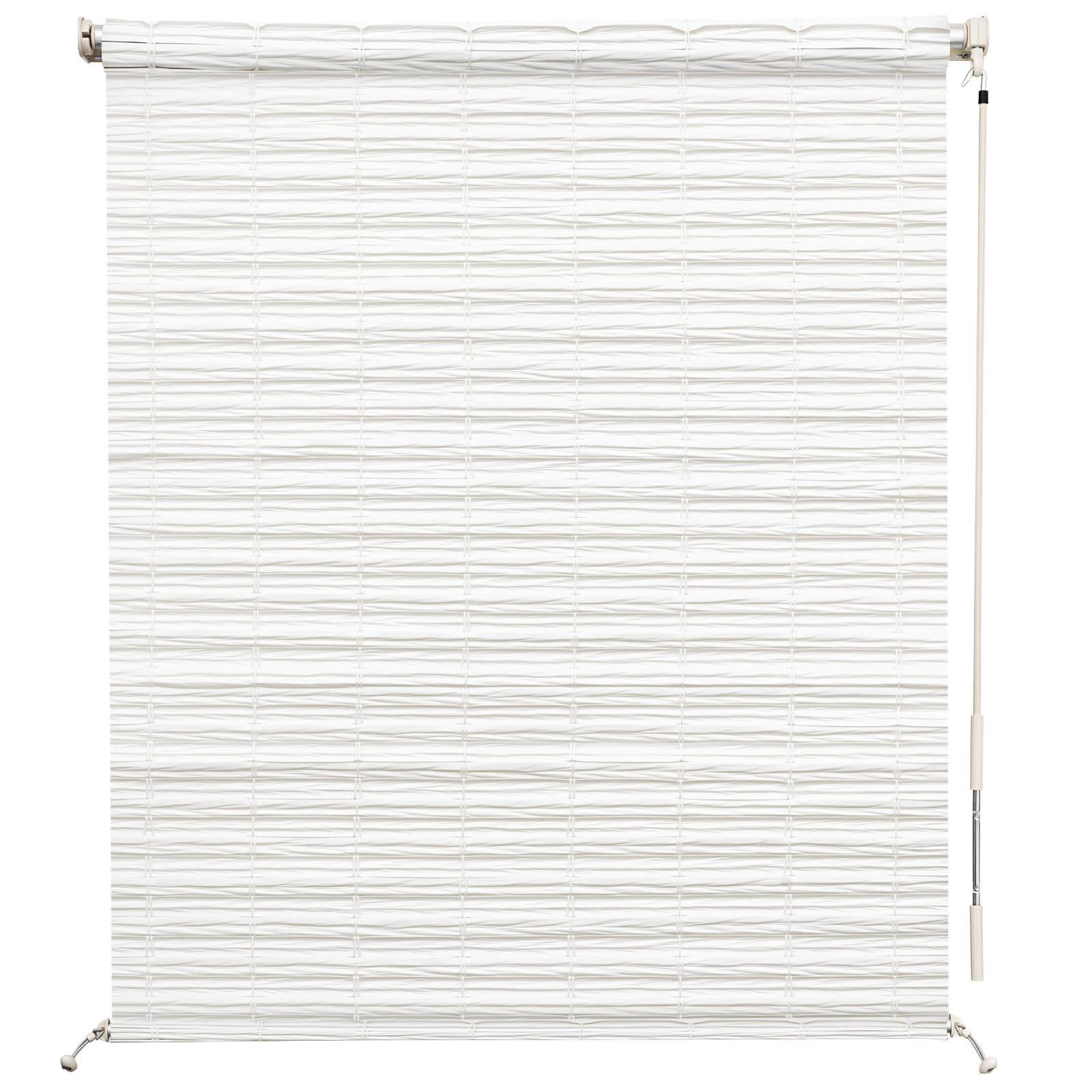 White-2-4939