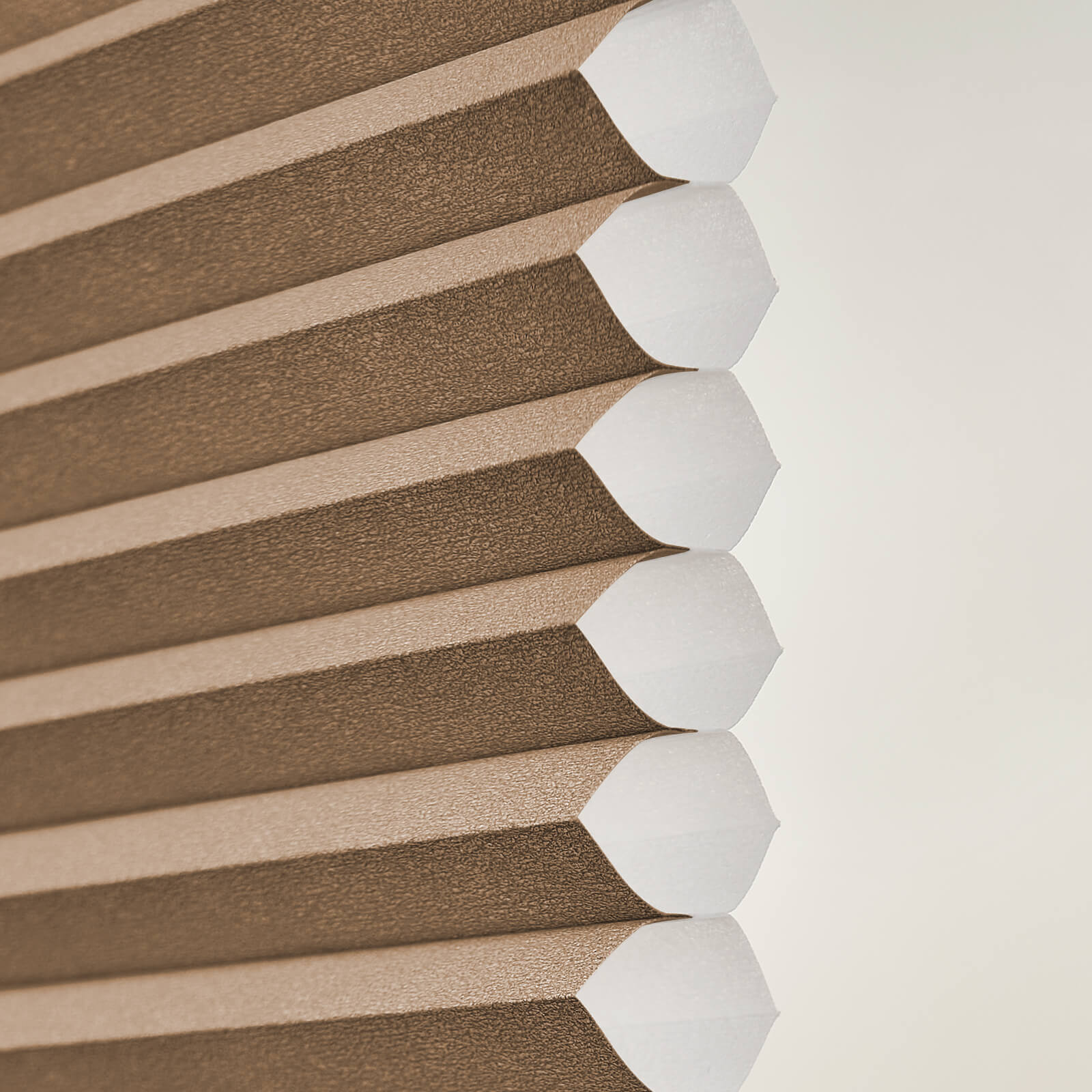 Brown013-2371
